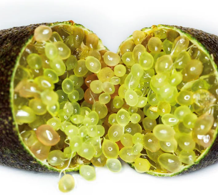 Welcia Lime Pearl Serum 30mL (132598) - Image 4